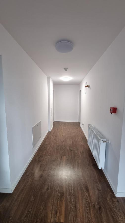 Pensiunea Barsan Vişeu de Sus Esterno foto