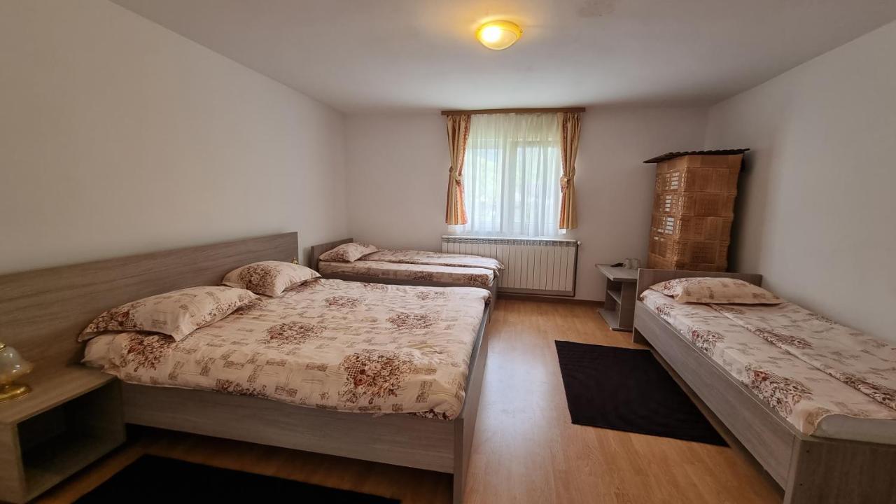 Pensiunea Barsan Vişeu de Sus Esterno foto