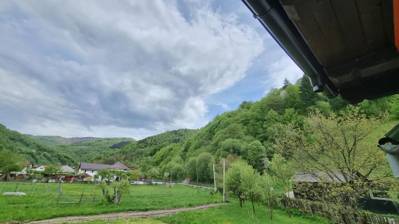 Pensiunea Barsan Vişeu de Sus Esterno foto