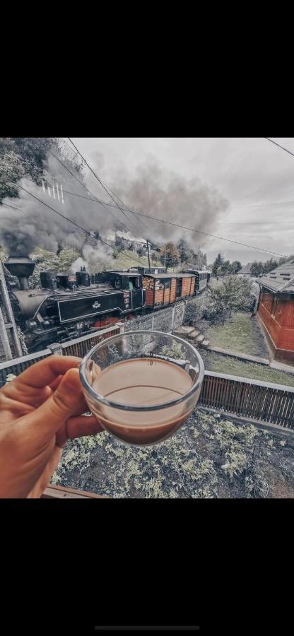 Pensiunea Barsan Vişeu de Sus Esterno foto