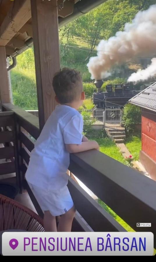 Pensiunea Barsan Vişeu de Sus Esterno foto